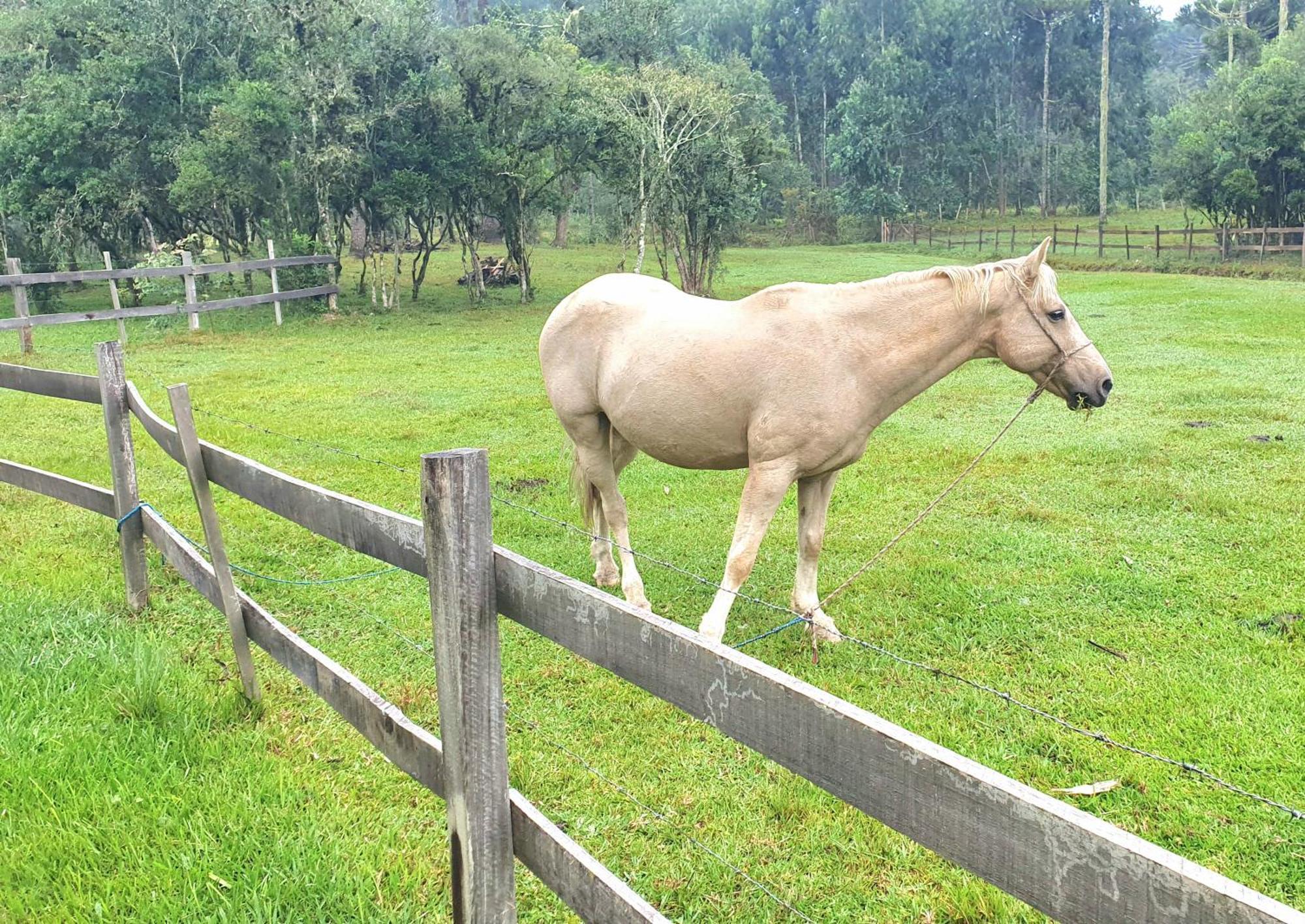 Pousada Vale Da Imbuia Chale Para Temporada Urubici Luaran gambar